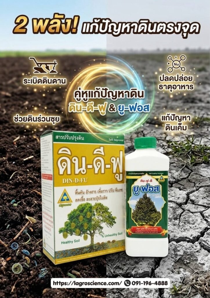 ดิน-ดี-ฟู & ยู-ฟอส